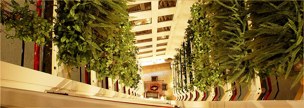Hotel Ritz La Paz
